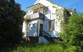 Maestrebo